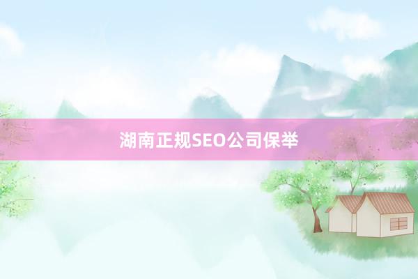湖南正规SEO公司保举